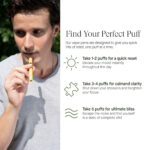 Full Spectrum CBD Pen 700mg - Image 2