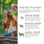 Full Spectrum Organic Pet CBD Oil - Image 2