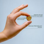 Mobility CBD Pet Treats - Image 2