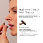 Chaga Capsules with CBD and CBN - Digest  - Image 2