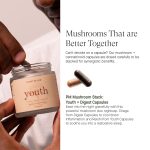 Reishi Capsules with CBD and CBN – Youth - Image 4