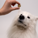 Probiotic CBD Pet Treats - Image 6