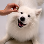 Omega CBD Pet Treats - Image 5