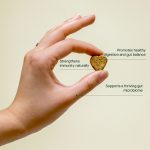Probiotic CBD Pet Treats - Image 2